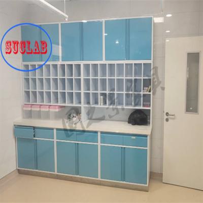 China Adjustable Shelves Treatment Room Cabinets for Customer Requirements for sale