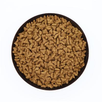 China OEM Viable Tasty Good Grain Free Protein Rich Dry Pet Food for All Age Puppy and Adult Dog for sale