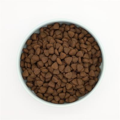 China OEM Viable Tasty Good Grain Free Protein Rich Dry Pet Food for All Age Puppy and Adult Dog for sale