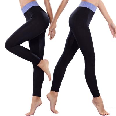 China New Design Athleisure Gym Sportswear Workout High Stretch Seamless Women Yoga Legging Pants Wholesale Four Way Waist for sale