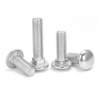 China High Quality DIN Stainless Steel M6 M8 M10 Galvanized SS304 Head Big Cup Square Neck Bolts for sale