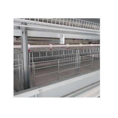 China Good Quality Poultry Farms New Arrivals Automatic Chicken Cage Chicken Layer Cage for sale