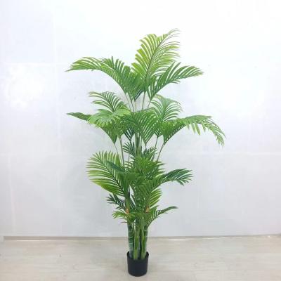 China Traditional Artificial Plastic Palm Tree Decoration Palm Tree Plants for sale