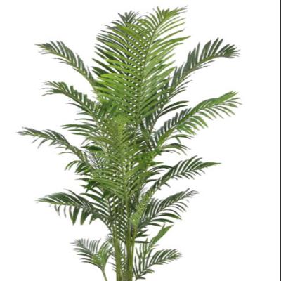 China Eco-friendly Decoration Artificial Palm Fake Palm Tree Plants for sale