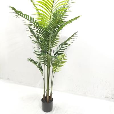 China Minimalist Decoration Artificial Palm Tree PE Palm Tree Plants for sale