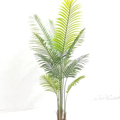 China Eco-friendly Decoration Artificial Plastic Palm Tree Palm Tree Plants for sale