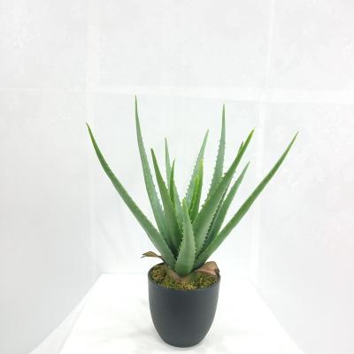 China High Simulation Plant Modern Plastic Decorative Bonsai Artificial Aloe Vera Plant for sale