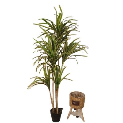 China Simulation Evergreen High Quality Artificial Decoration Plant Plastic Yucca for sale