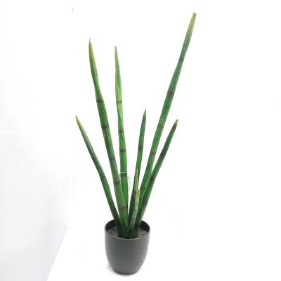 China High Quality Eco-friendly Simulation Artificial Plastic Plant Decorative Indoor Cactus for sale