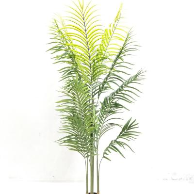 China Environmental Friendly Decoration Artificial Plastic Palm Tree Palm Tree Plants for sale