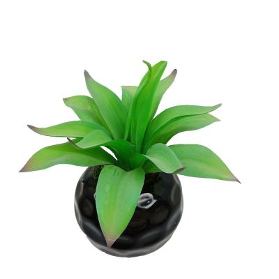 China Coastal Hot Selling Plants Pot Plastic Artificial Simulated Decorative Succulent for sale