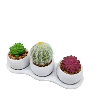 China Hot Selling Eco-friendly Decorate Succulent Simulation Plant Artificial Plastic Bonsai Trees for sale