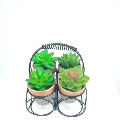 China Eco-friendly Popular Tropical Artificial Plastic Potted Bonsai Plants Decorative Succulent for sale