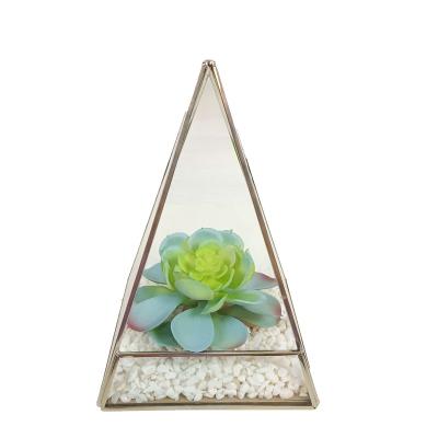 China High Quality Eco - Friendly Artificial Succulent Bonsai Plants Plastic Decoration for sale