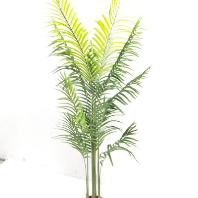 China 180cm Decoration Environmental Friendly Artificial Plastic Palm Tree Palm Tree Plants for sale