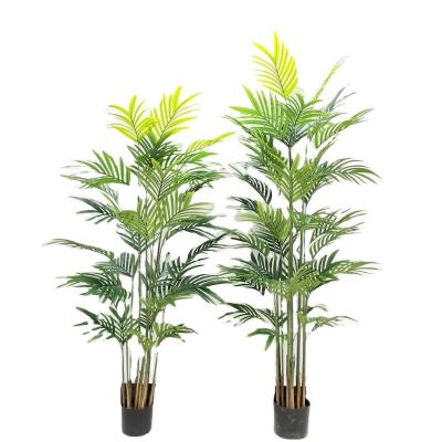 China Eco-friendly Decoration Artificial Palm Areca Palm Tree Plants for sale