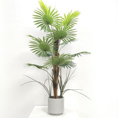 China Eco-friendly Decoration Artificial Palm Fan Palm Tree Plants for sale