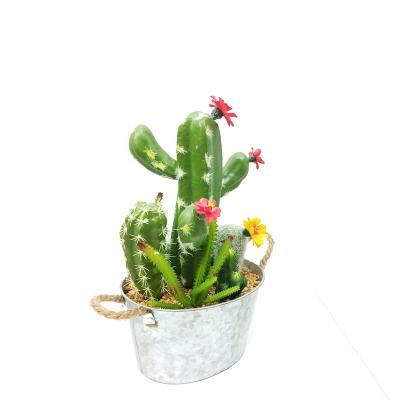 China Modern plastic decorative small simulation artificial cactus for sale