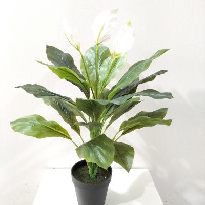 China eco-friendly artificial spathiphyllum flower for sale