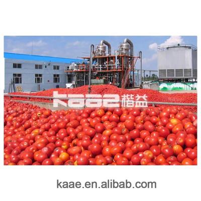 China food & Beverage Shops Full Set Tomato Jam Paste Making Machine Production Line for sale