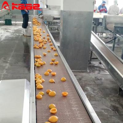 China Adjustable Peach Yellow Fruit Kernel Nuclear Removing Machine Maker Making Boxes Production Line Kaae Brand for sale