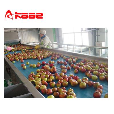 China Stainless Steel Made Apple / Pear Fruit Juice Production Line / Equipment / Machinery for sale