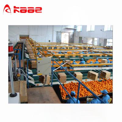 China Grading for apple stainless steel fruit photoelectric grading machine for sale