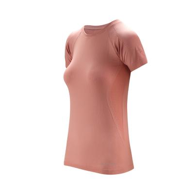 China Breathable Women Support Mesh Breathable Gym Active Yoga T-Shirts Workout Short Sleeves Yoga Crop Top for sale