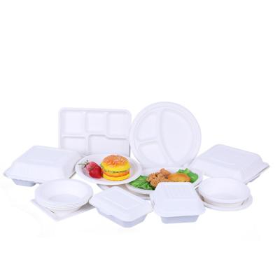 China Disposable Hot Selling Biodegradable Sugarcane Packing Crate Compostable Container Bagasse Box for sale