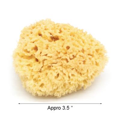 China All Natural Premium Quality 100% Super Soft Honeycomb Natural Sea Body Bath Sponges Sea Wool Sponges For Baby Bathing for sale