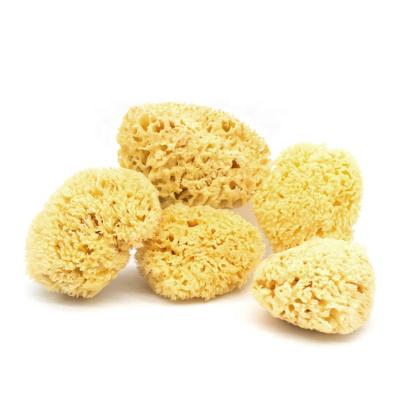 China All Natural Sea Hive Soft 3-5