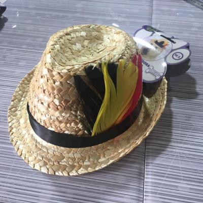 China Striped Dogs Straw Pet Hat for sale