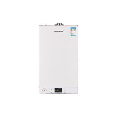 China Hotel manufacture direct high quality wall mounted 20-32kw gas boiler for room heating for sale