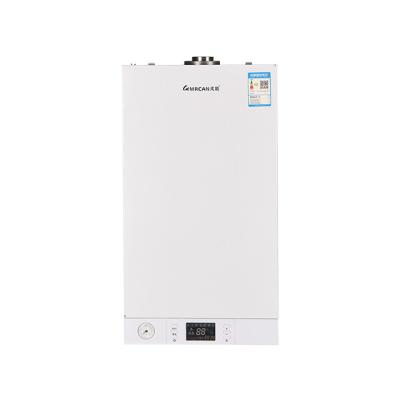 China Hotel Quality Assurance Wall Mounted Stainless Steel Housing Gas Boiler Models Various Gas Water Heaters for sale