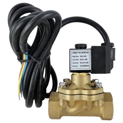 China Automatic LPG Dispenser Solenoid Valve Fuel Pump 12V Petrol Solenoid Valve for sale