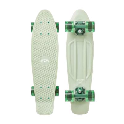 China 22 Inch Modern Stylish Hot Sales Fish Board Skateboard Plastic Skateboard Standard Skateboard for sale