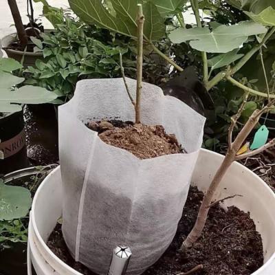 China Waterproof Wholesale High Quality Degradable Environmental Friendly Small Seedling Nonwovens Bags for sale