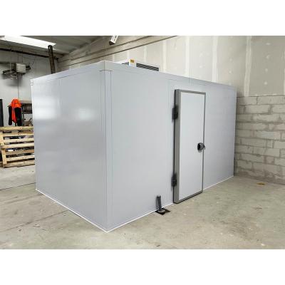 China Container Factory Sale Container Cold Storage Room Walk In Freezer Cooler Ice Storage With PU Borad Door For Supermarket for sale