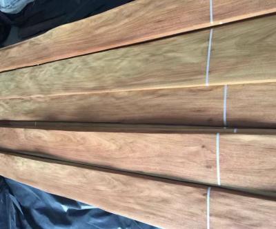 China 0.5m-2m / 2cm-2.44m / 2.45m-3.6m Length Burma padauk Natural Wood Veneer for sale