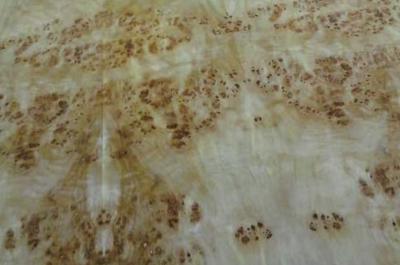 China Mappa Burl Wood Veneer Length 0.5m-2m / 2cm-2.44m/ 2.45m-3.6m for sale