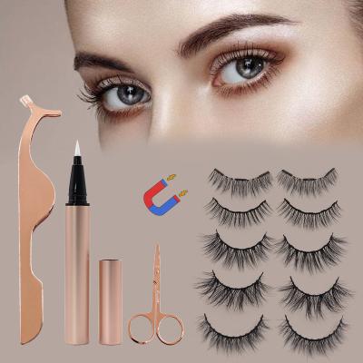 China Easy Use Waterproof False Invisible Lashes Clear Eyeliner Butterfly Box Curler With Comb Professional Magnetic Eyelash Extension Set for sale