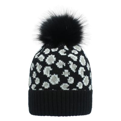 China New COMMON COMMON winter knitting warm and thick winter leopard print wool ball hat for sale