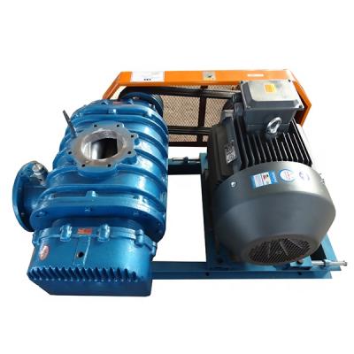 China EV5003 Roots Blower 3 Lobe Roots Blower Type Vacuum Pump Sold To Italy for sale