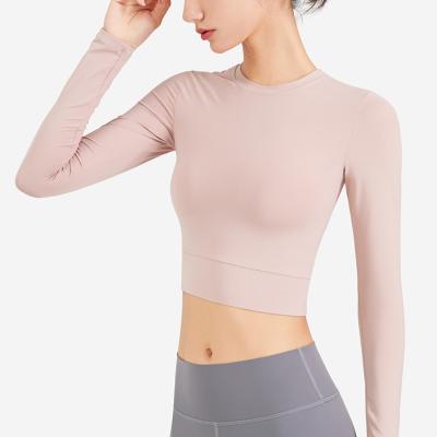 China New Design Breathable Special Sexy Long Sleeve Crop Shirt Casual Sports Shapewear for sale