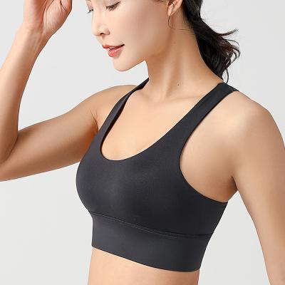 China New Design QUICK DRY Special Shockproof Underwear Hot Sexy Women Gym Wear Breathable Seamless Bra for sale