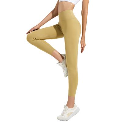 China New Design Women's Special QUICK DRY Gym Sports Active Sexy Leggings Seamless Yoga Leggings Jogging for sale