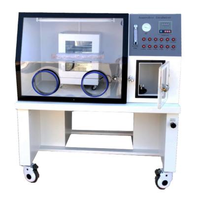 China HYQX-I Microbes Laboratory Anaerobic Incubator Workstation LCD Display for sale