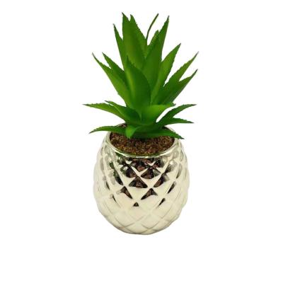 China Modern Succulent Plant Pots, Inch Mini Succulent Planter, OAMCEG 3.75 inch White Ceramic Succulent Cactus Planter Pots for sale