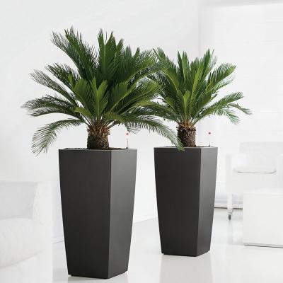 China Glazed plastic flowerpot modern style plants pots large size planter outdoor for sale