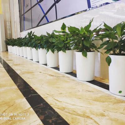 China white and tall plastic flower pots for sale